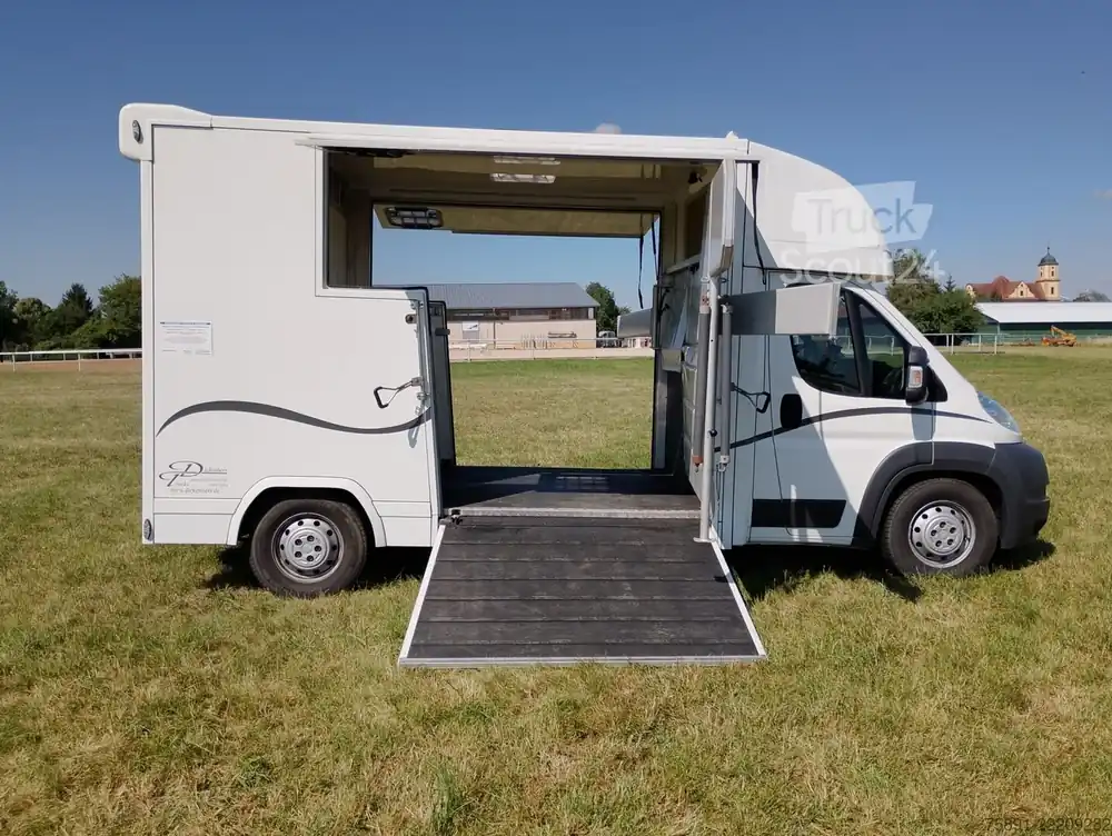 Soldes Transporteur de bétailCitroën 2 Seitenrampen 20.500KM Pferdetransporte