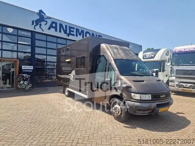 Commande En Gros Transport de chevauxIveco 65C Automaat paardenwagen C1 rijbewijs 2 paarde...