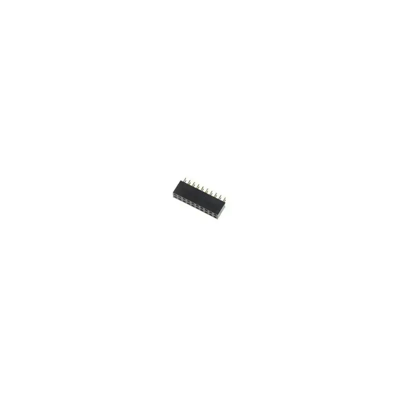 Connecteur femelle 2x10 (double) pour CI Populaire